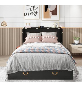 Queen Murphy Bed, Murphy Bed with Drawer Includes Storage Cabinet,USB and Charging Port,Black